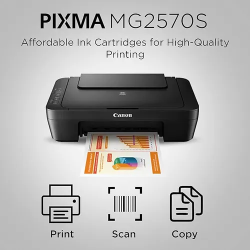 CANON Multifunction Inkjet Printer-Mg2570s Printer