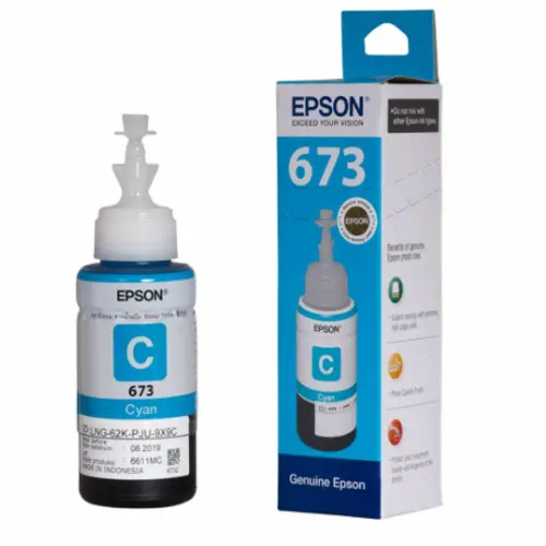 Epson Ink 673 