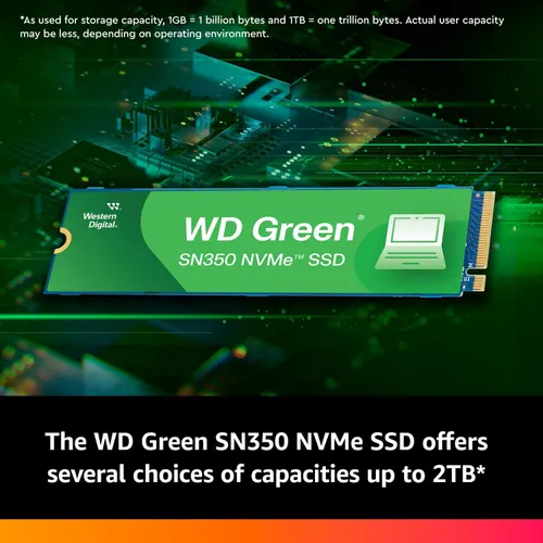 WD 250GB NVME GREEN