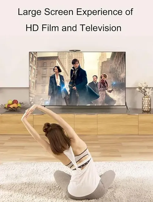 HAMMOK -LUSH HDTV TO VGA W/O AUDIO